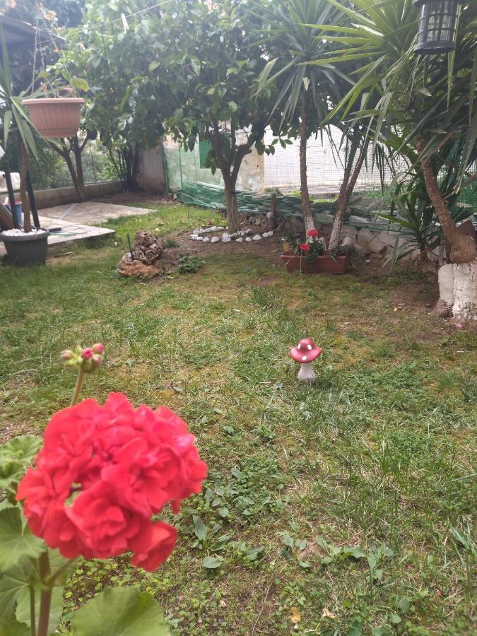 Hotel Sofis Garden Kavala Pokoj fotografie